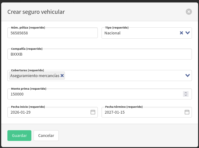 seguros_vehiculares_form.png